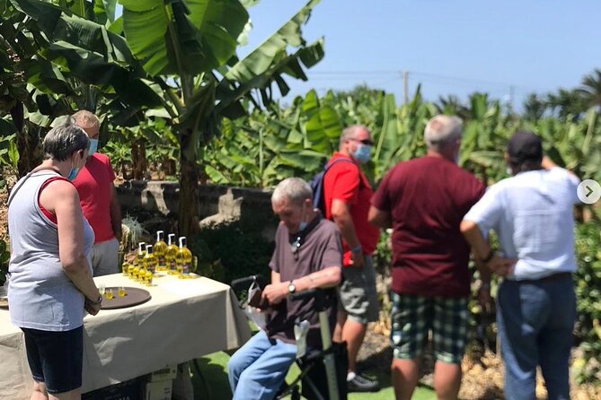 Eco banana farm Tour - Small group size, big comfort: what capped at 15 really means
