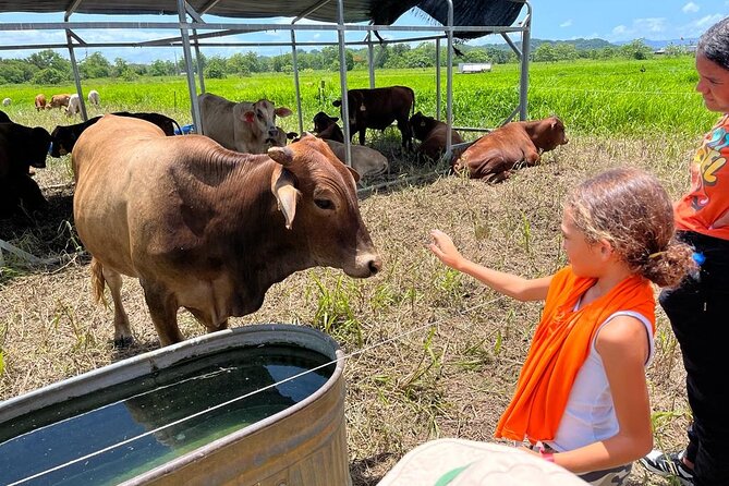 Eco Friendly Farming Tour to Explore Dorado's Most Beautiful Farm - Quick hits: what makes this tour worth your time