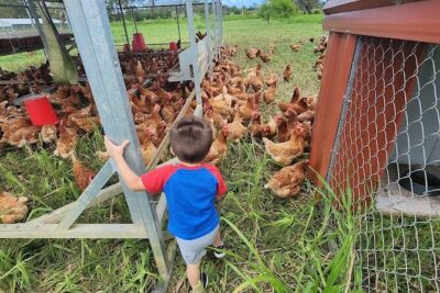 Eco Friendly Farming Tour to Explore Dorado's Most Beautiful Farm - Meeting at Finca Pastoreo: where the tour really starts