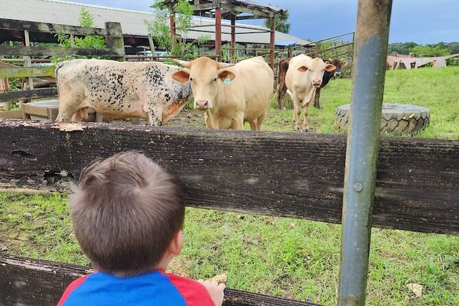 Eco Friendly Farming Tour to Explore Dorado's Most Beautiful Farm - Understanding regenerative methods without turning it into a lecture