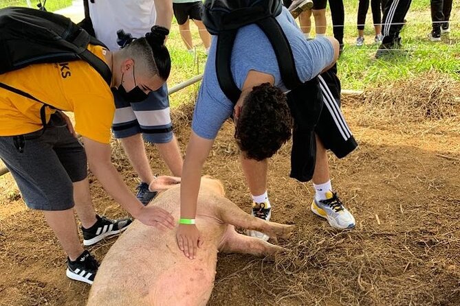 Eco Friendly Farming Tour to Explore Dorado's Most Beautiful Farm - Food at the end: eggs, dairy, pizza, natural juices, and gelato