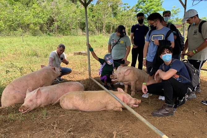 Eco Friendly Farming Tour to Explore Dorado's Most Beautiful Farm - Price and timing: $20 for an hour that turns into a half-day