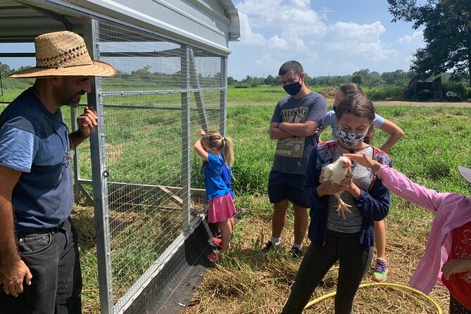 Eco Friendly Farming Tour to Explore Dorado's Most Beautiful Farm - What to pack: shoes, sun protection, and water you’ll actually drink