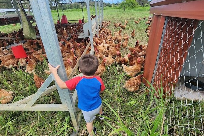 Eco Friendly Farming Tour to Explore Dorado's Most Beautiful Farm - Meeting at Finca Pastoreo: where the tour really starts