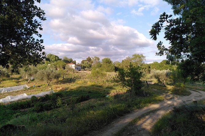 Ecotourism: Organic Farm & Animal Tour near Serra da Estrela - Key Takeaways Before You Go