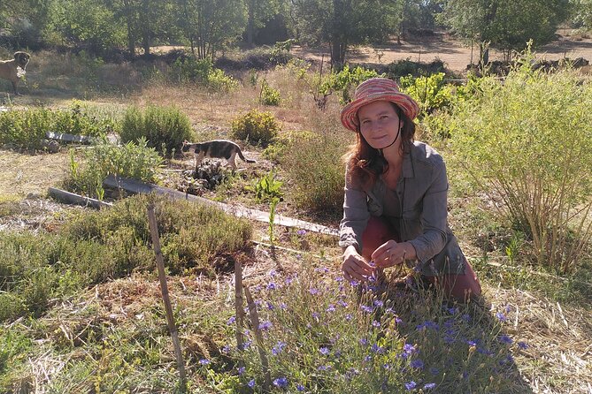Ecotourism: Organic Farm & Animal Tour near Serra da Estrela - Who should book this organic farm tour