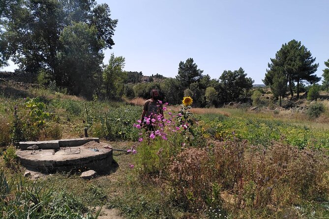 Ecotourism: Organic Farm & Animal Tour near Serra da Estrela - Gardens that don’t just look pretty