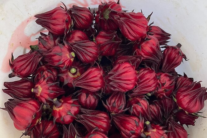 Edible Hibiscus Guided Farm Tour (Big Island) - What to Bring, How to Think About Spending