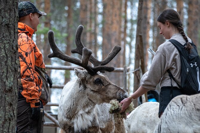 Electric Fatbike Trip to the Reindeer Farm - Why Electric Fatbikes Work So Well for Lapland