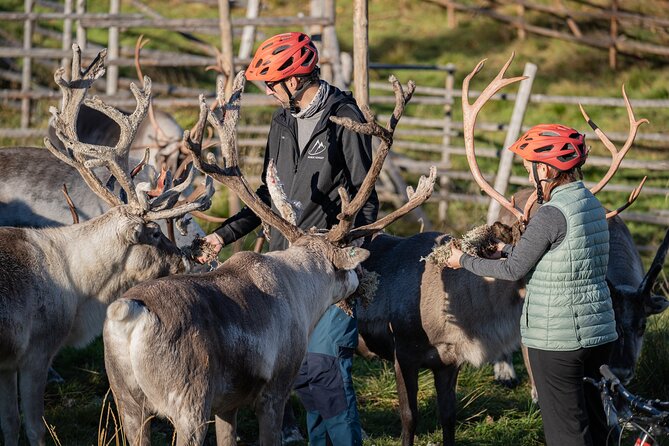Electric Fatbike Trip to the Reindeer Farm - The Return Ride Back to Rovaniemi: Another Route, About 20 km Total