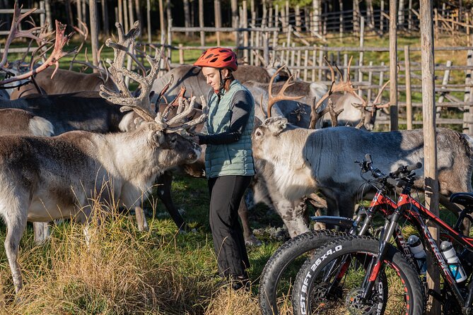 Electric Fatbike Trip to the Reindeer Farm - Price and Value: What You Get for $177.44