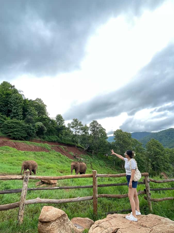 Elefin Farm & Cafe Half-day tour with Private Car - Should you book Elefin Farm & Cafe with a private car?