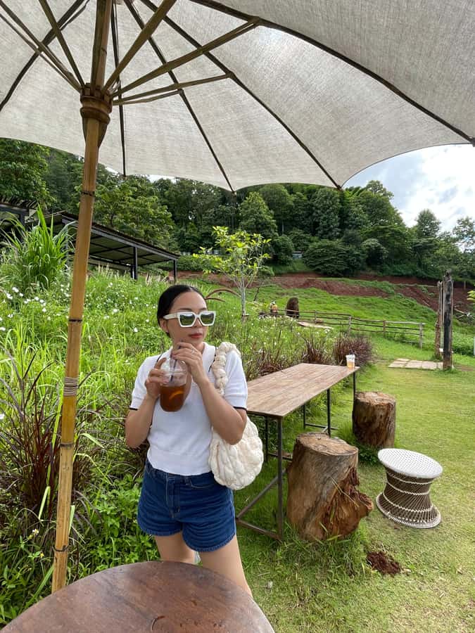 Elefin Farm & Cafe Half-day tour with Private Car - Wat Phrathat Doi Kham: temple time with real-world context
