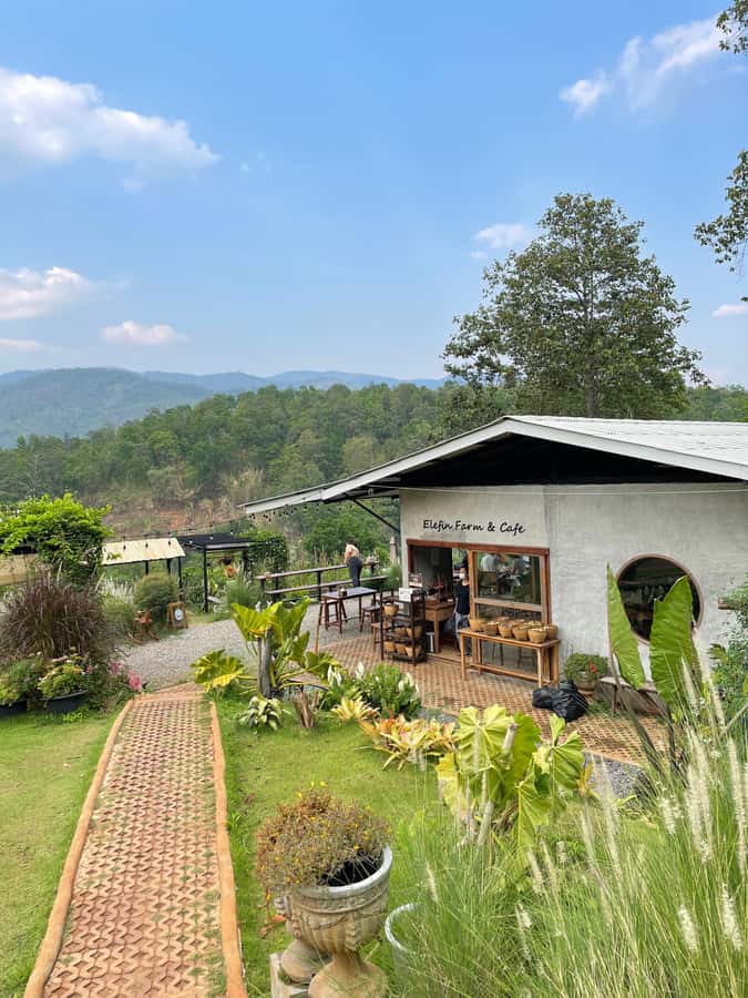 Elefin Farm & Cafe Half-day tour with Private Car - Price and value: who this fits at $109 per group