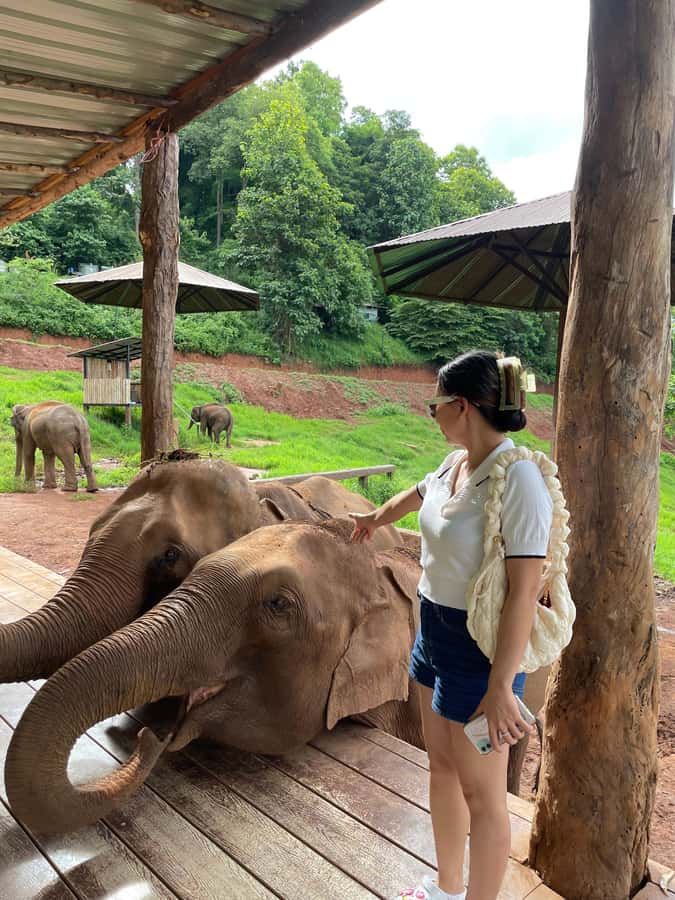 Elefin Farm & Cafe Half-day tour with Private Car - Private car logistics: what you’re really buying