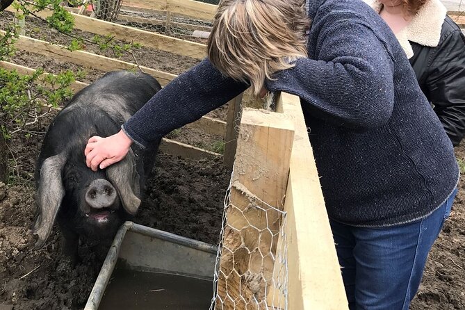 Errichel Farm Tour - A one-hour farm tour paced for real life