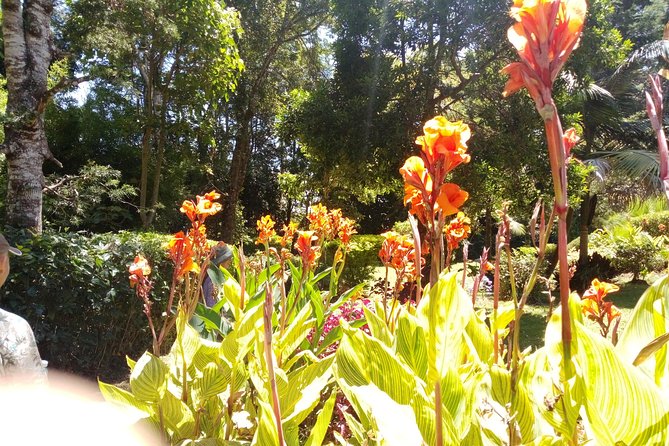 Excursion to Kiambethu Tea Farm - Small-group comfort: why 15 people changes everything