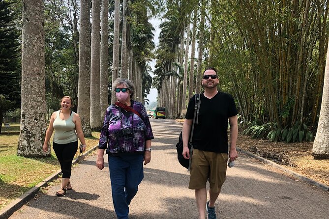 Experience Boti Waterfalls, Aburi Botanical Gardens & Tetteh Quarshie Cocoa Farm - Leaving Accra the scenic way: pickup, mountain roads, and pacing