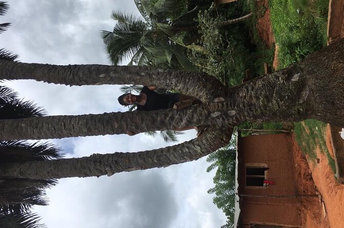 Experience Boti Waterfalls, Aburi Botanical Gardens & Tetteh Quarshie Cocoa Farm - Asenema Waterfalls on the Akuapem ridge: a gentler finish