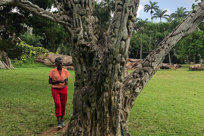 Experience Boti Waterfalls, Aburi Botanical Gardens & Tetteh Quarshie Cocoa Farm - What to bring (and what to skip) for a day with rocks, plants, and cocoa
