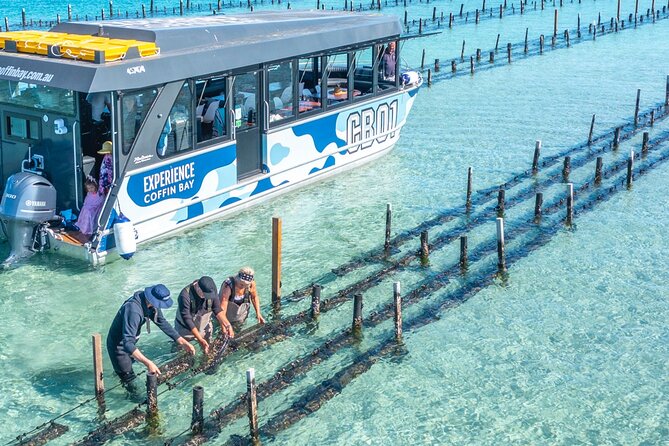 Experience Coffin Bay Oyster Farm and Bay Tour - Key highlights worth waking up for