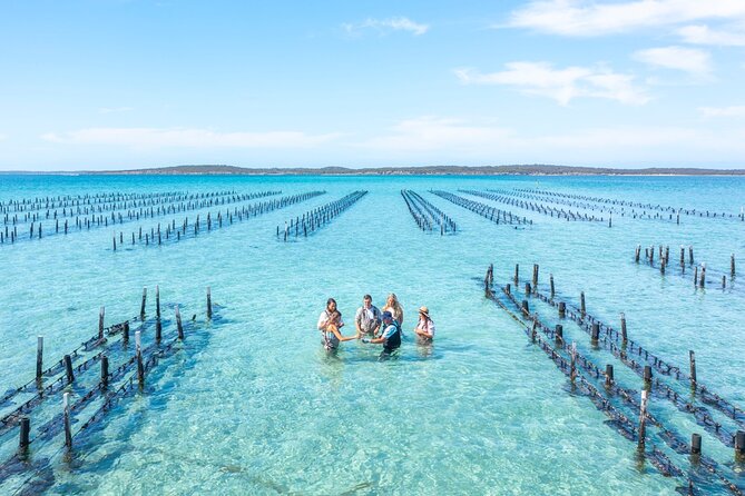 Experience Coffin Bay Oyster Farm and Bay Tour - From Coffin Bay Yacht Club Jetty to the oyster leases