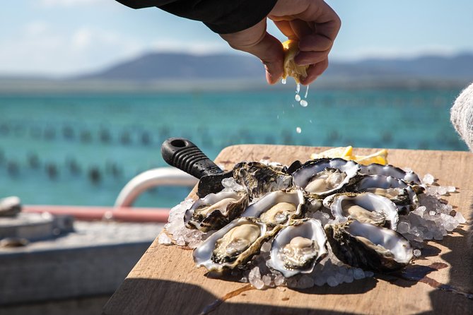 Experience Coffin Bay Oyster Farm and Bay Tour - Brothers Islands at the end: seals, possible dolphins, and a simple rhythm