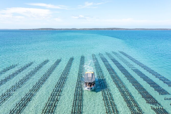 Experience Coffin Bay Oyster Farm and Bay Tour - Alcohol onboard: nice to have, not required