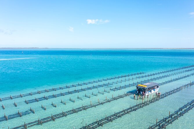 Experience Coffin Bay Oyster Farm and Bay Tour - Price check: $132.69 for 3 hours, oysters included