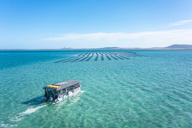 Experience Coffin Bay Oyster Farm and Bay Tour - What kind of traveler will love this?