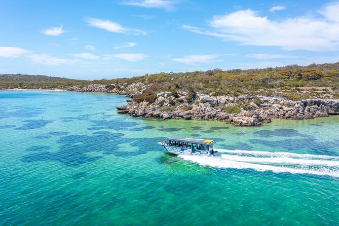 Experience Coffin Bay Short and Sweet Oyster Farm Tour - Key things to know before you go
