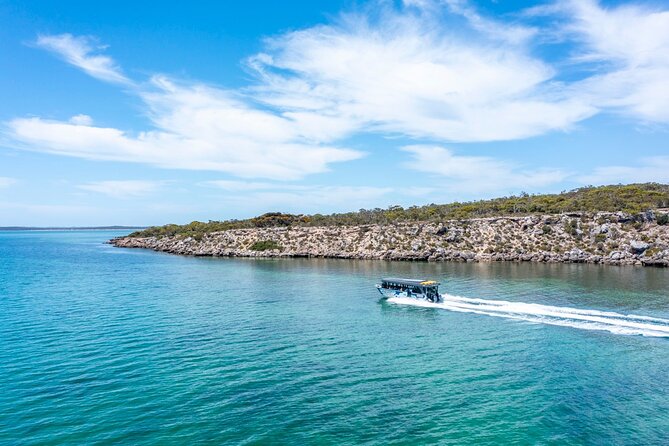 Experience Coffin Bay Short and Sweet Oyster Farm Tour - Getting oriented: where you meet and how the timing works