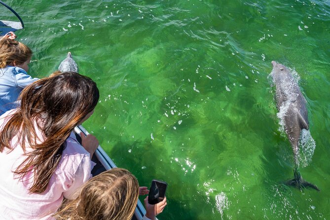 Experience Coffin Bay Short and Sweet Oyster Farm Tour - The farmer-guided format: better answers, fewer generic facts