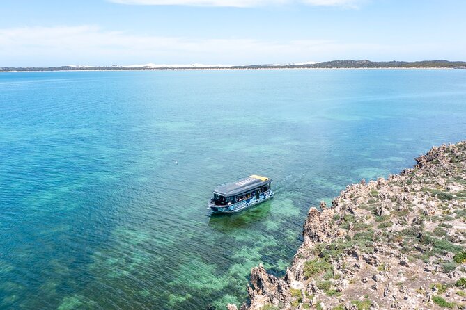 Experience Coffin Bay Short and Sweet Oyster Farm Tour - Price and value: what $64.55 buys you in the real world