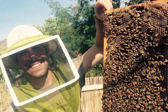 Experience Our Honey Farm And Beekeeping Tour - The Beekeeping Portion: Why the Screened Setup Makes It Worth It