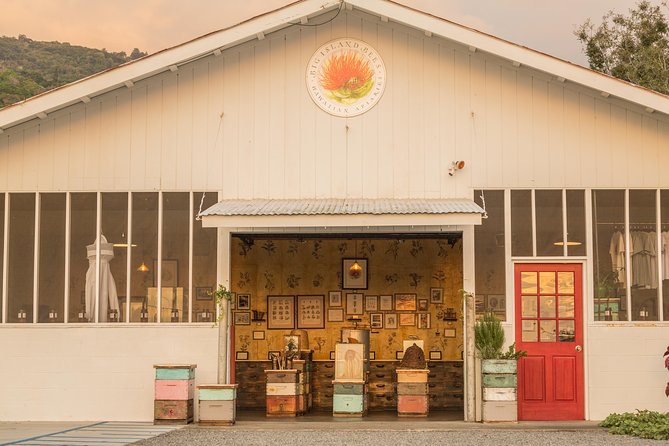 Experience Our Honey Farm And Beekeeping Tour - Honey Tasting and What to Do With It (Besides Buy Everything)
