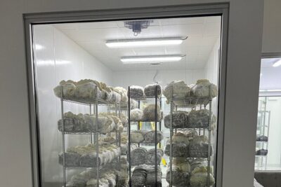 Explore Chicago’s Indoor Mushroom Farm Experience - Stop 1: Chicago’s Indoor Farm Tour Step-By-Step