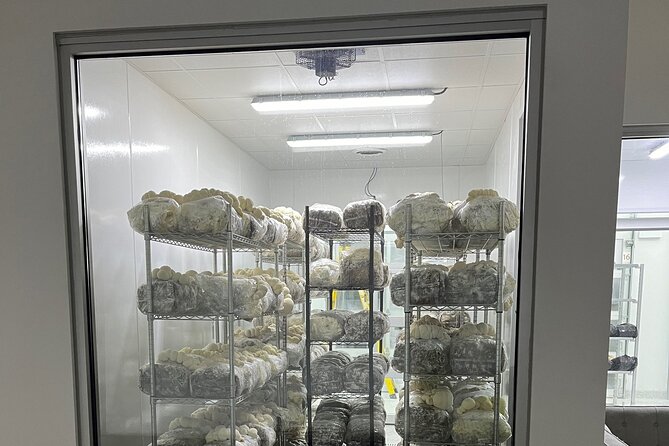 Explore Chicago’s Indoor Mushroom Farm Experience - Stop 1: Chicago’s Indoor Farm Tour Step-By-Step