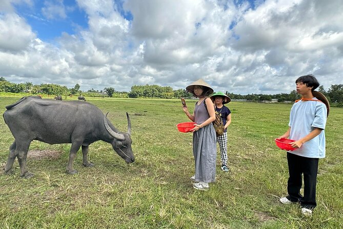 Exploring organic farm & Vietnamese Culinary with Master chef - Key highlights at a glance