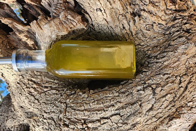 extravirgin olive oil tasting,the story of a farm - Fresh pasta moment: semolina from their production