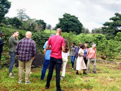 FAIRVIEW COFFEE FARM DAY TOUR - The guided farm walk: learning Kenyan coffee without the classroom feel