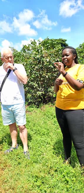 FAIRVIEW COFFEE FARM DAY TOUR - Who should book this tour (and who may prefer a DIY ride)