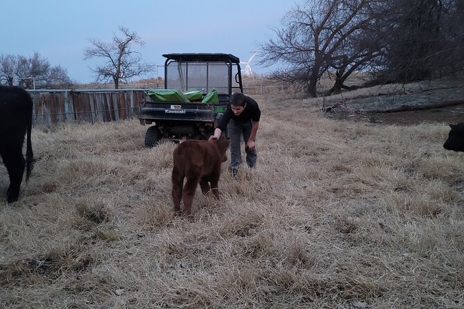 Farm Adventure Experience in Red Hill Ranch - What makes Red Hill Ranch special