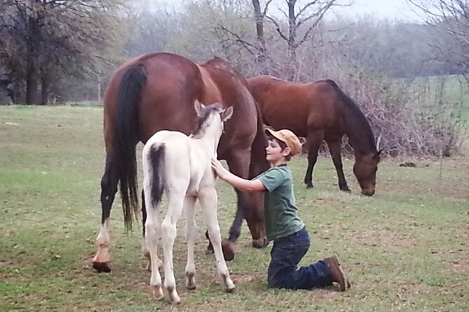 Farm Adventure Experience in Red Hill Ranch - A working ranch vibe, not a theme park