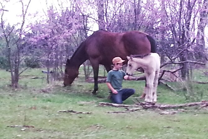 Farm Adventure Experience in Red Hill Ranch - Price, value, and what you’re really paying for