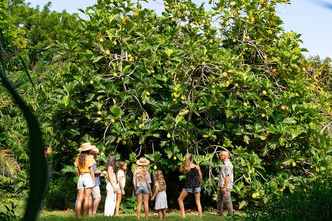 Farm and Food Experience in Kilauea - Price and Value: Is $39 a Good Deal?