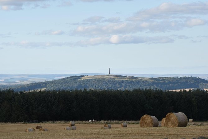 Farm Attraction - Highland Cows, Animal Feeding, Wholesome fun! - Den-making and the Roman fort walk: simple adventure for families