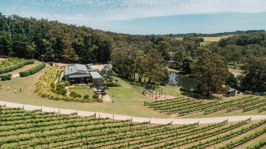 Farm Picnic for 2 adults - Green Olive at Red Hill: a farm picnic on the Mornington Peninsula