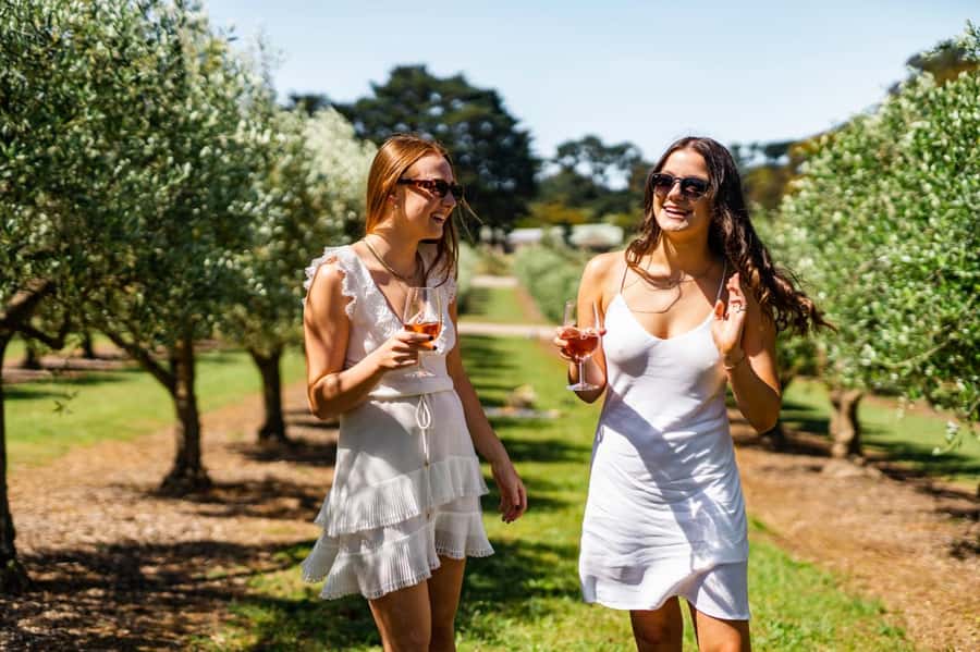 Farm Picnic for 2 adults - Choosing your corner: vineyards, kitchen garden, and the dam ducks