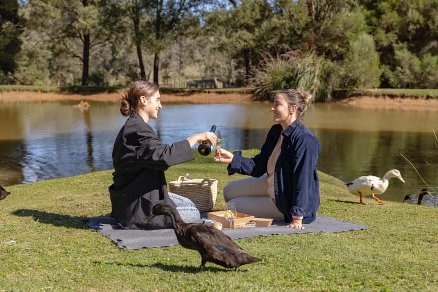 Farm Picnic for 2 adults - What you get in the hamper: wine, grazing bites, and cake